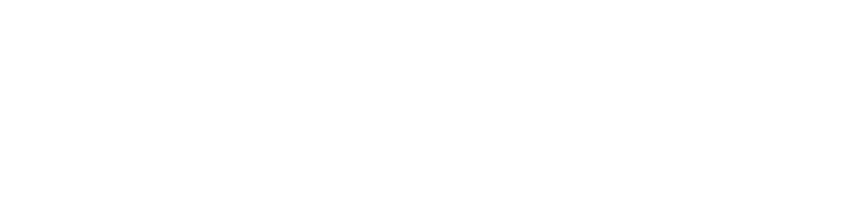 evolveum